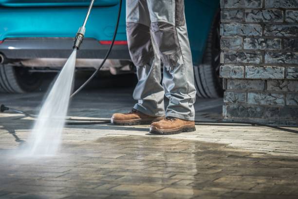 Best Pre-Holiday Cleaning  in Adrian, MI