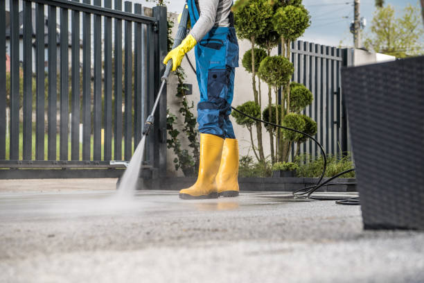 Best Roof Washing  in Adrian, MI